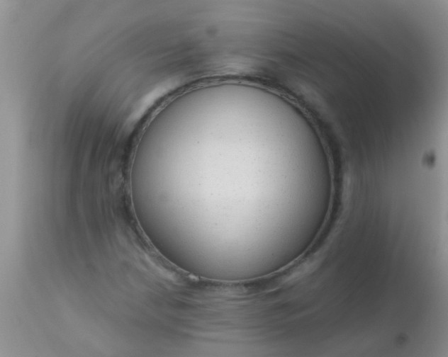 X0000110951210200907022149