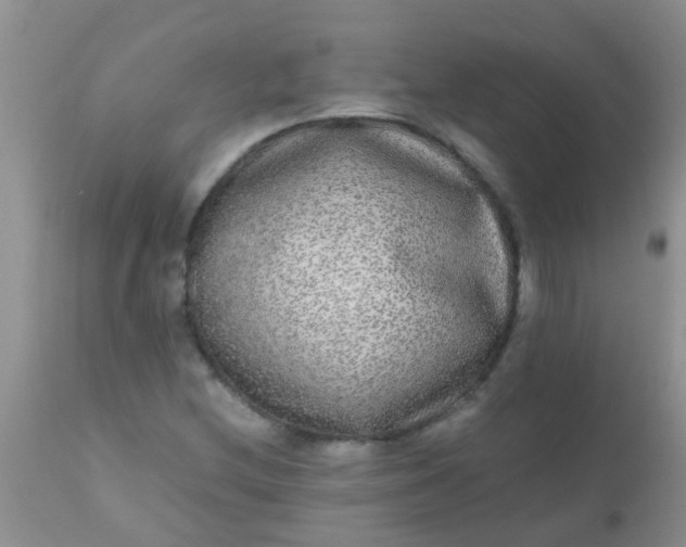 X0000110951212200907022149