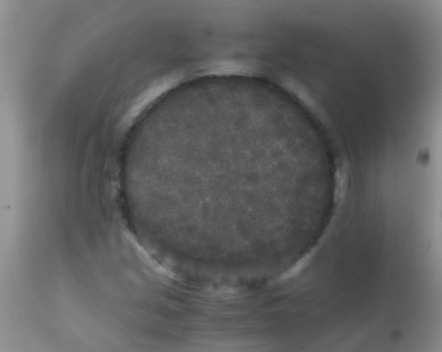 X0000110951213200907022149