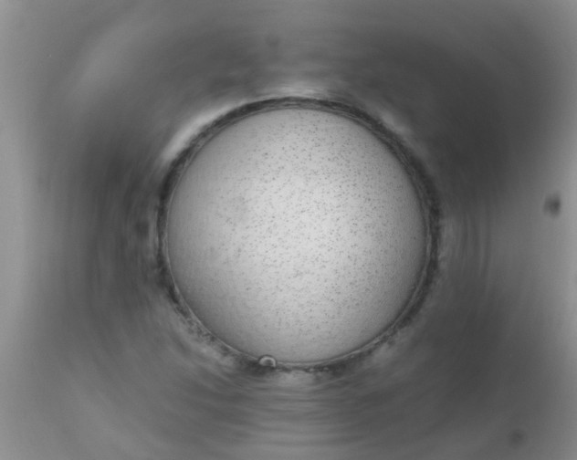 X0000110951214200907022149