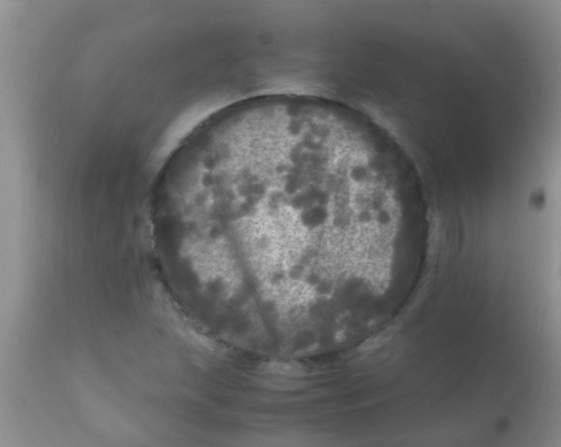 X0000110951215200907022149