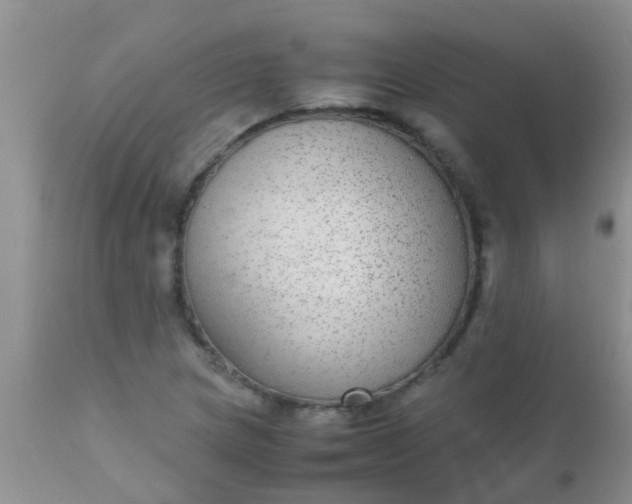 X0000110951217200907022149