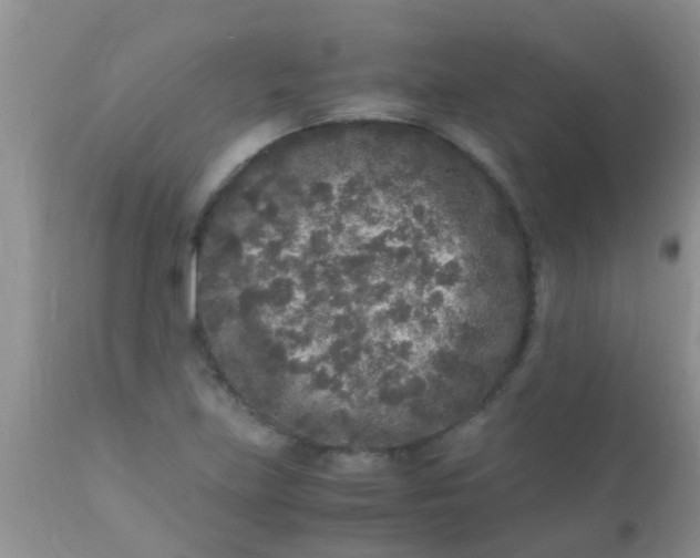 X0000110951219200907022149