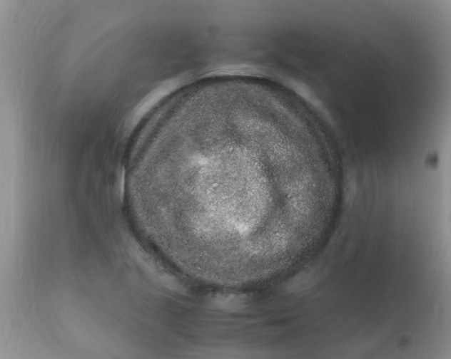 X0000110951221200907022149