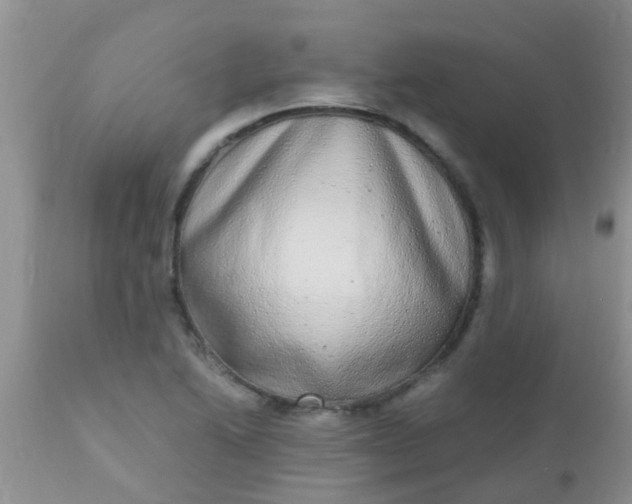 X0000110951222200907022149