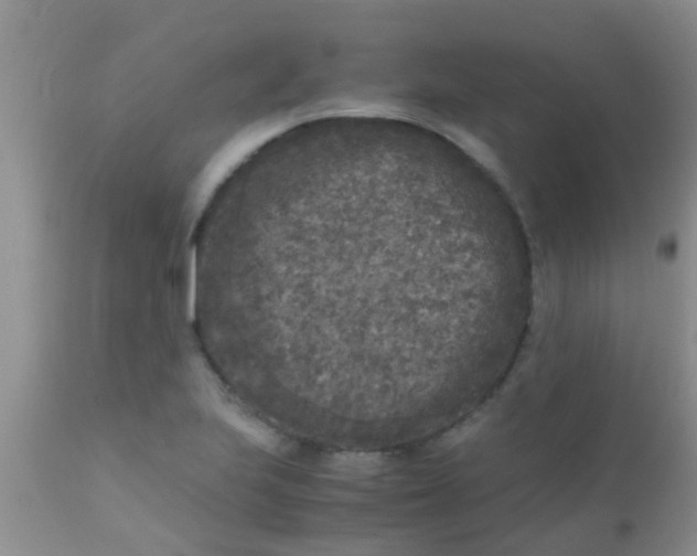 X0000110951223200907022149