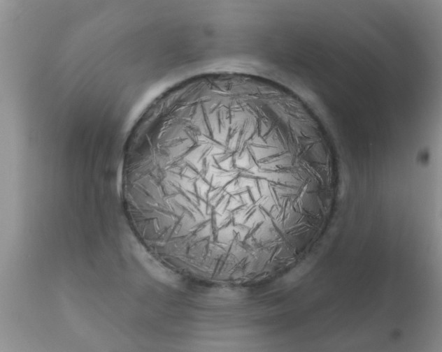 X0000110951224200907022149