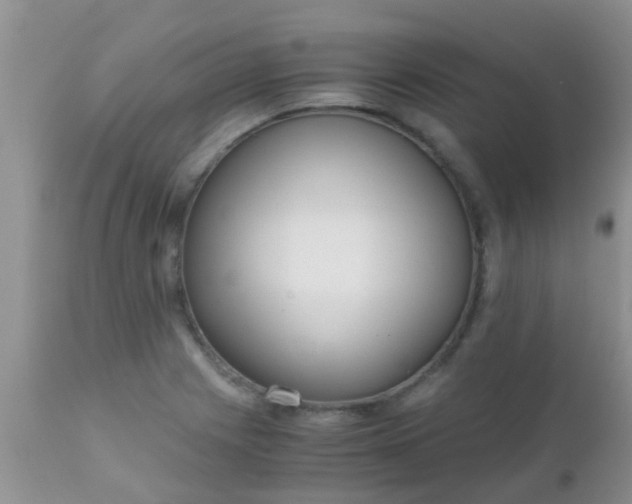 X0000110951225200907022149