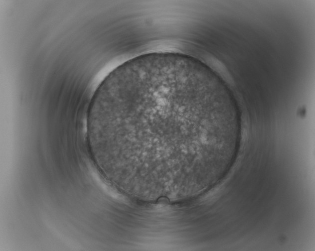 X0000110951226200907022149