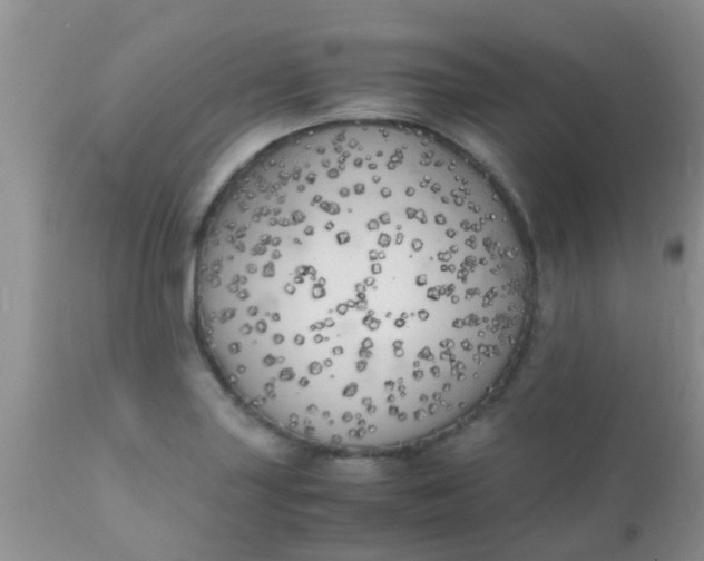 X0000110951227200907022149