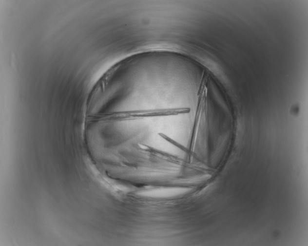 X0000110951228200907022149