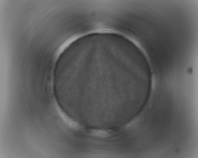 X0000110951229200907022149