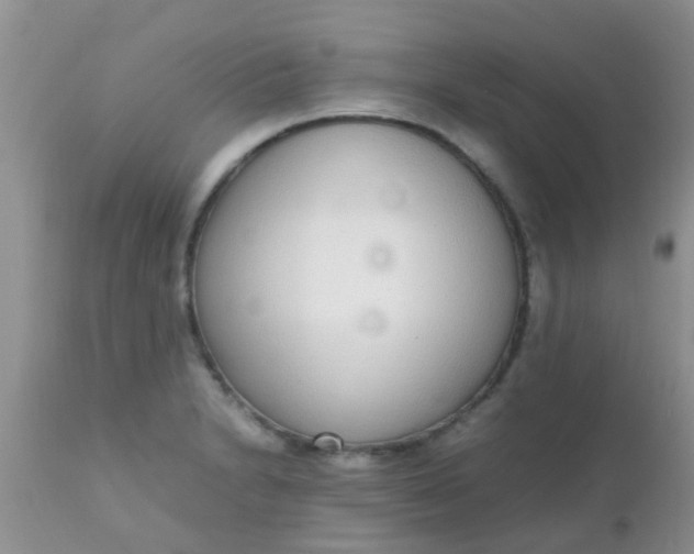 X0000110951230200907022149