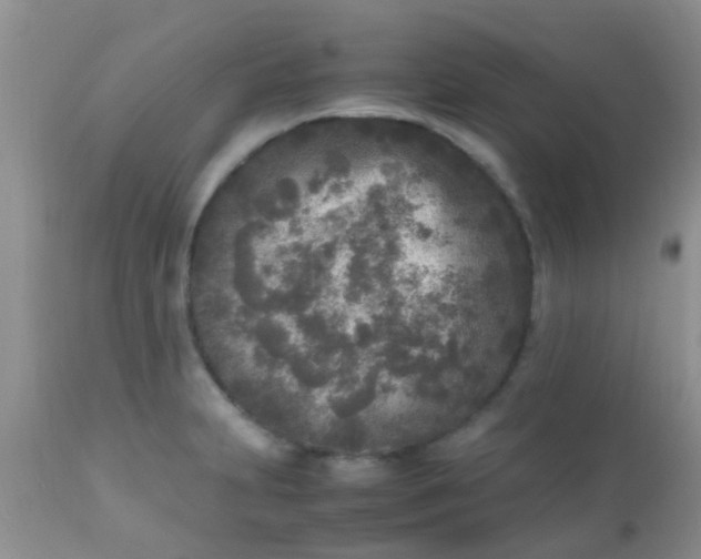 X0000110951231200907022149