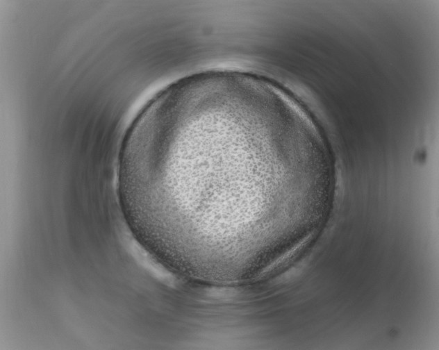 X0000110951232200907022149