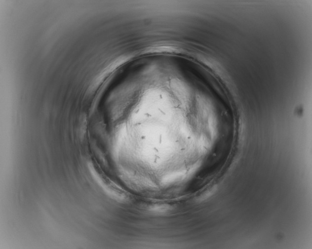 X0000110951233200907022149