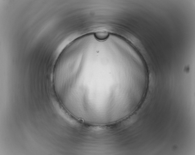 X0000110951234200907022149