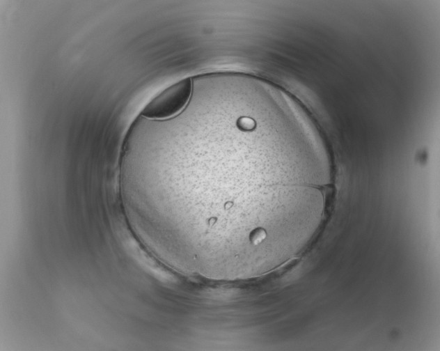 X0000110951236200907022149