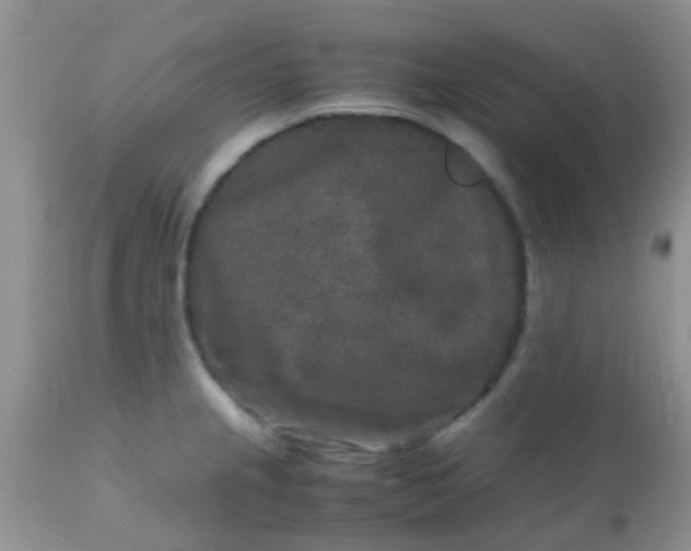 X0000110951237200907022149