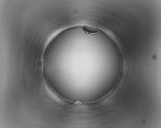 X0000110951238200907022149