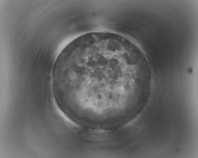 X0000110951239200907022149