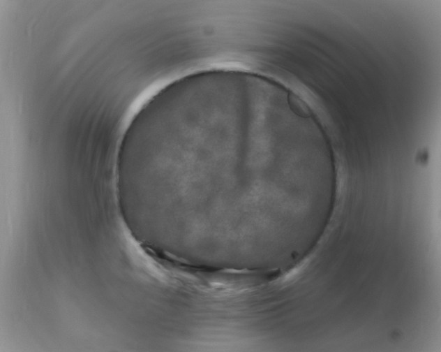 X0000110951240200907022149