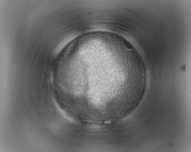 X0000110951241200907022149