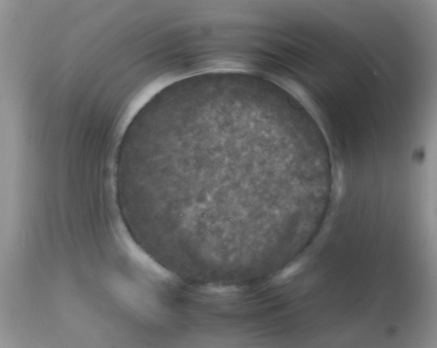 X0000110951243200907022149