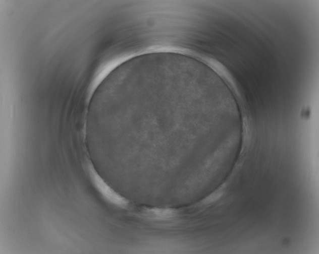 X0000110951244200907022149