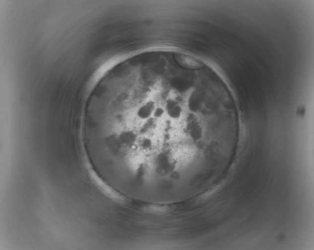 X0000110951245200907022149