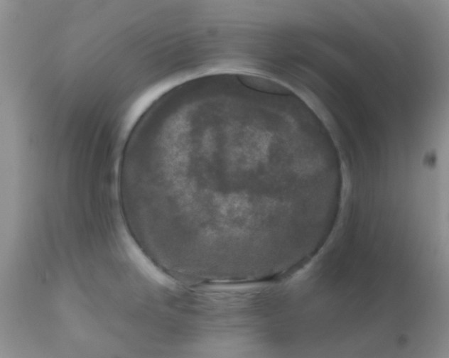 X0000110951246200907022149