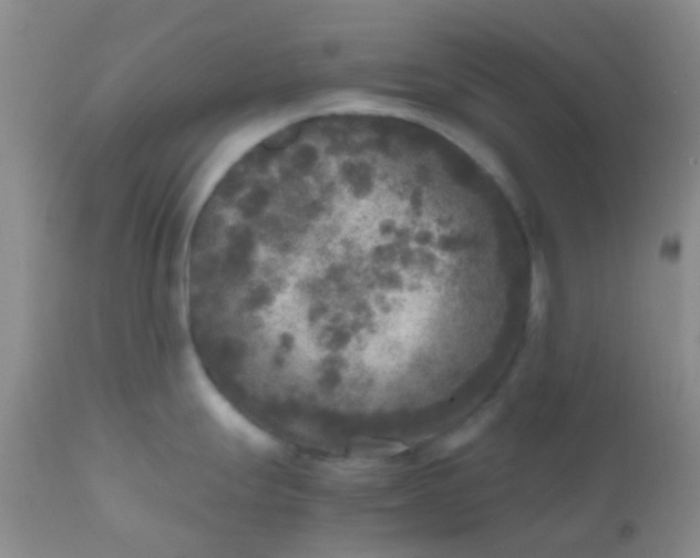 X0000110951247200907022149