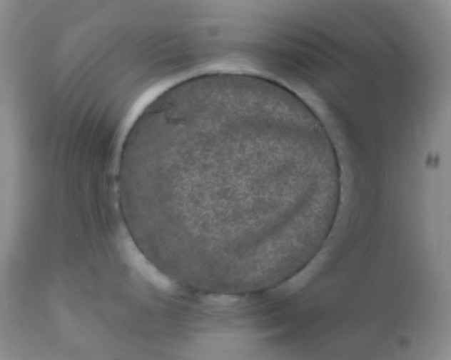 X0000110951248200907022149