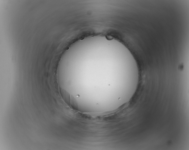 X0000110951249200907022148