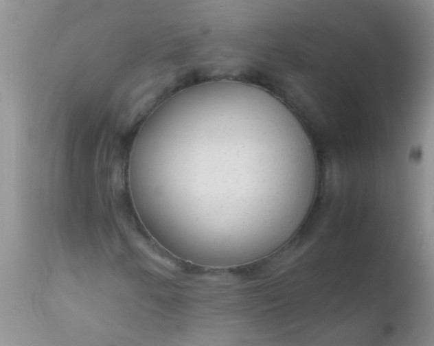 X0000110951250200907022148