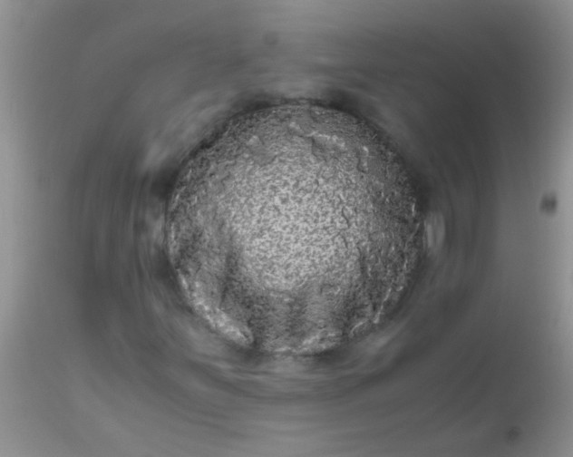 X0000110951251200907022148