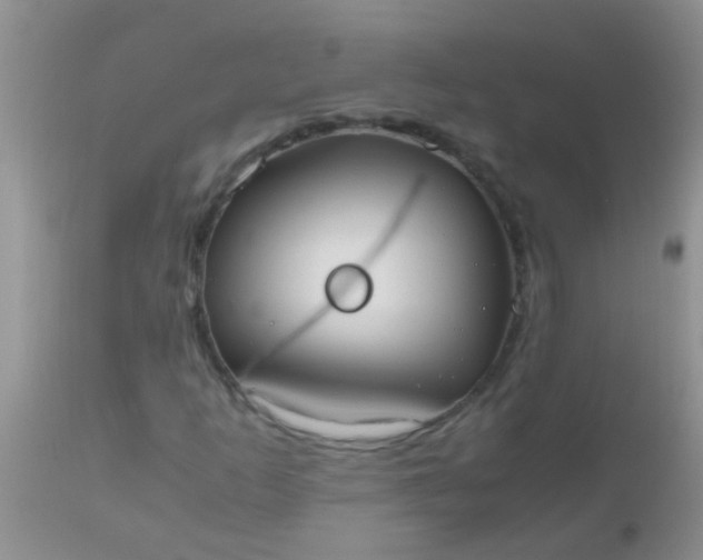 X0000110951253200907022148