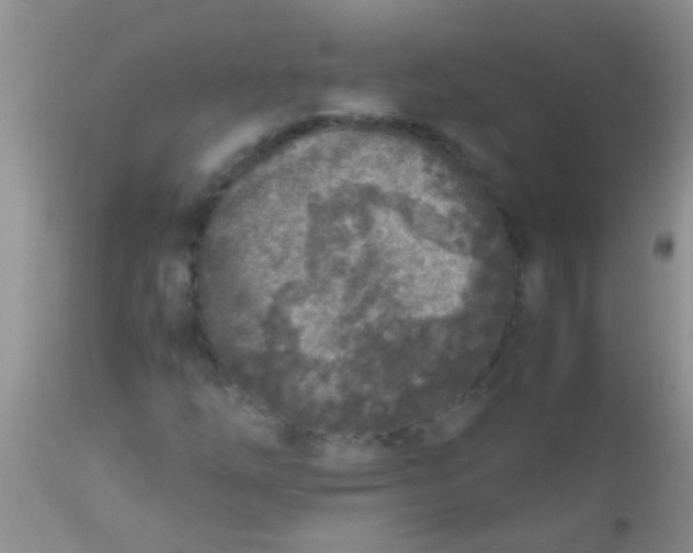 X0000110951254200907022148