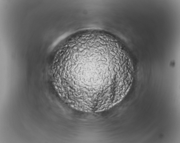 X0000110951255200907022148