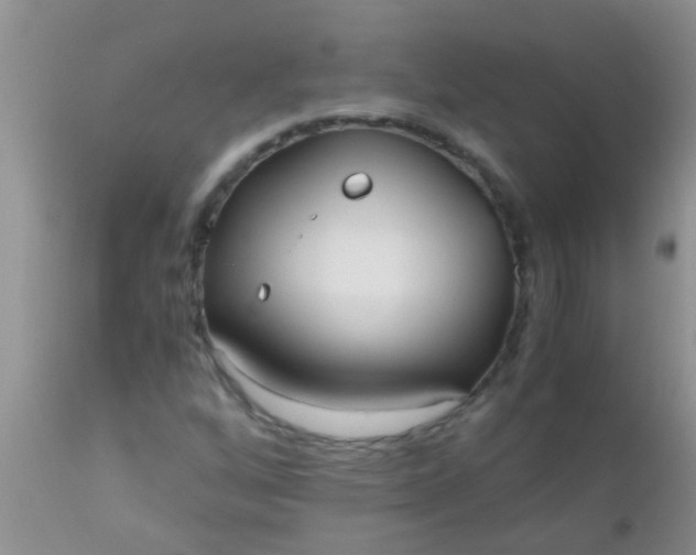 X0000110951256200907022148