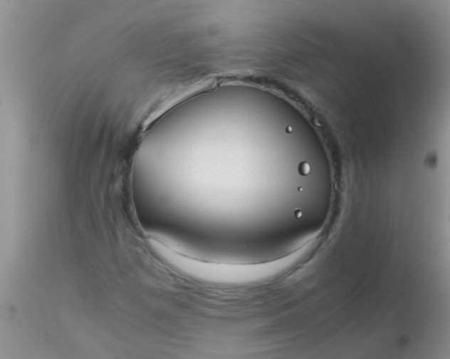 X0000110951257200907022148