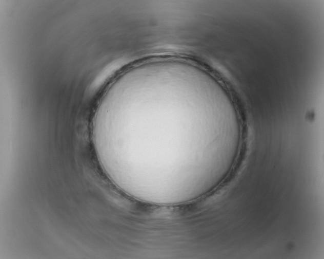 X0000110951259200907022148