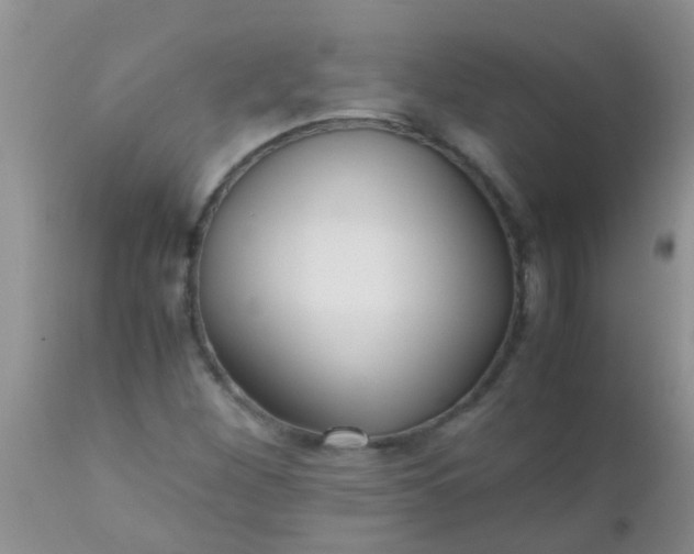 X0000110951260200907022148