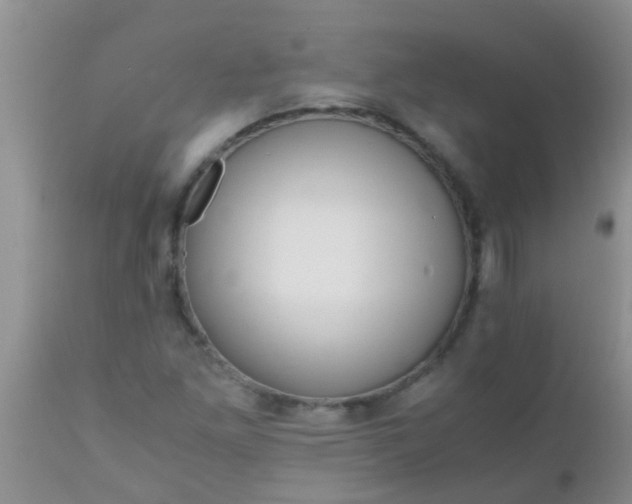 X0000110951261200907022148