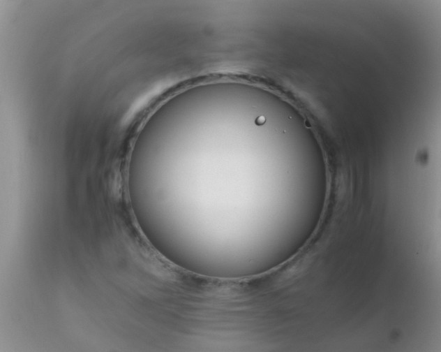 X0000110951262200907022148