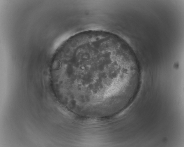 X0000110951263200907022148