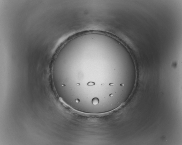 X0000110951264200907022148