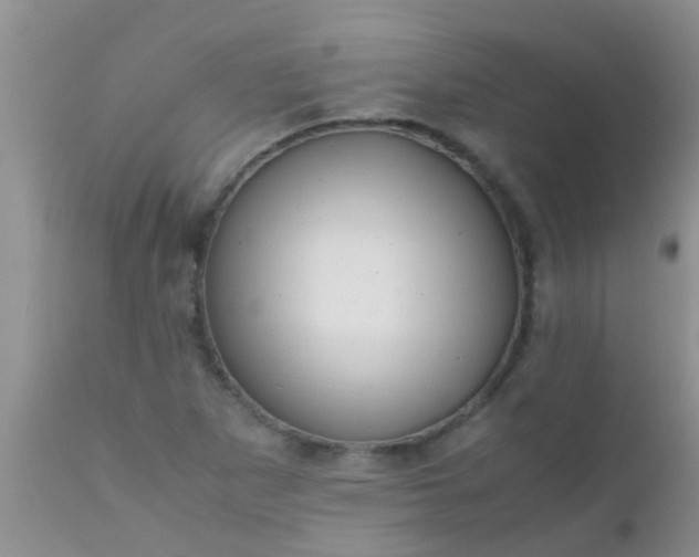 X0000110951265200907022148