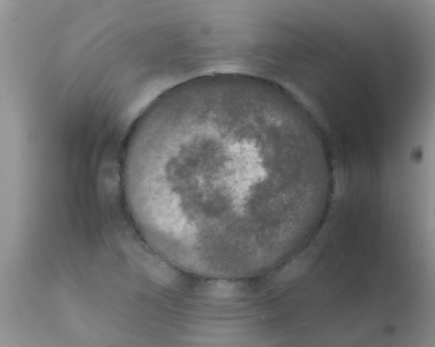 X0000110951266200907022148