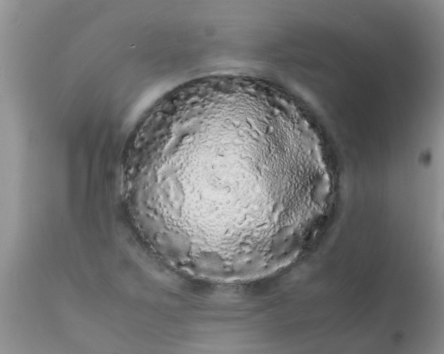 X0000110951267200907022148